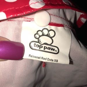 Doggie dress and rain jacket . Xs like new